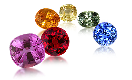 Standards item image