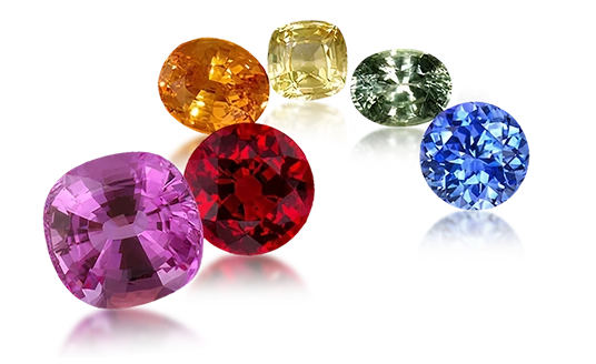 Standards item image